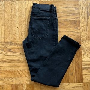 EVERLANE Curvy High Rise Skinny Jean